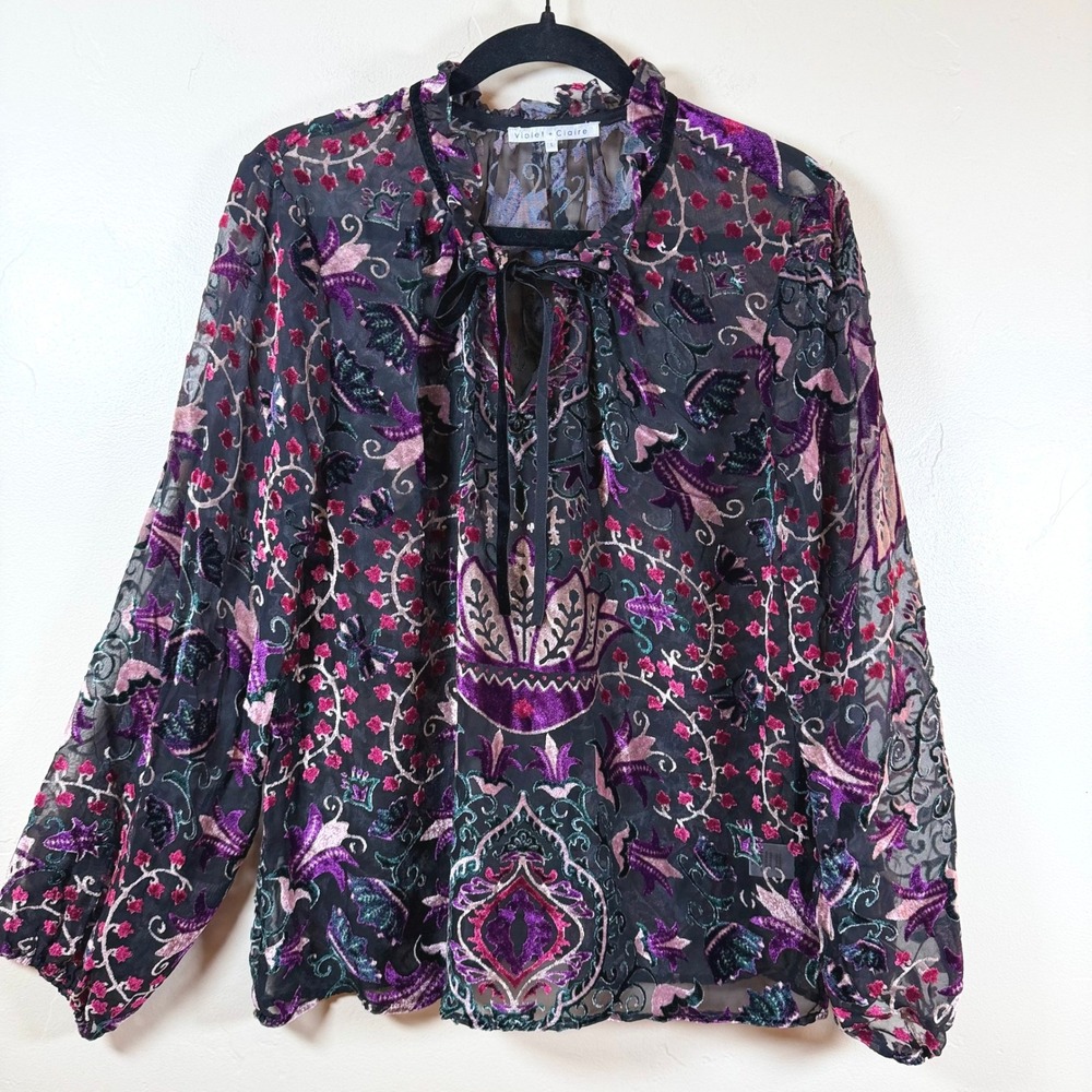 Violet + Claire Velvet Burnout Sheer Blouse Sz L Dark Cottage Whimsigoth Fairy
